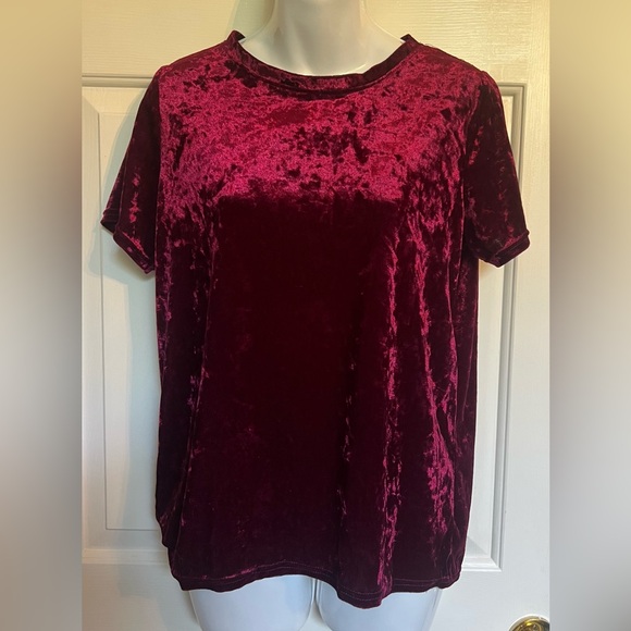 Velvet Short Sleeve‎ Top - Rich Burgundy Size small - Picture 1 of 6